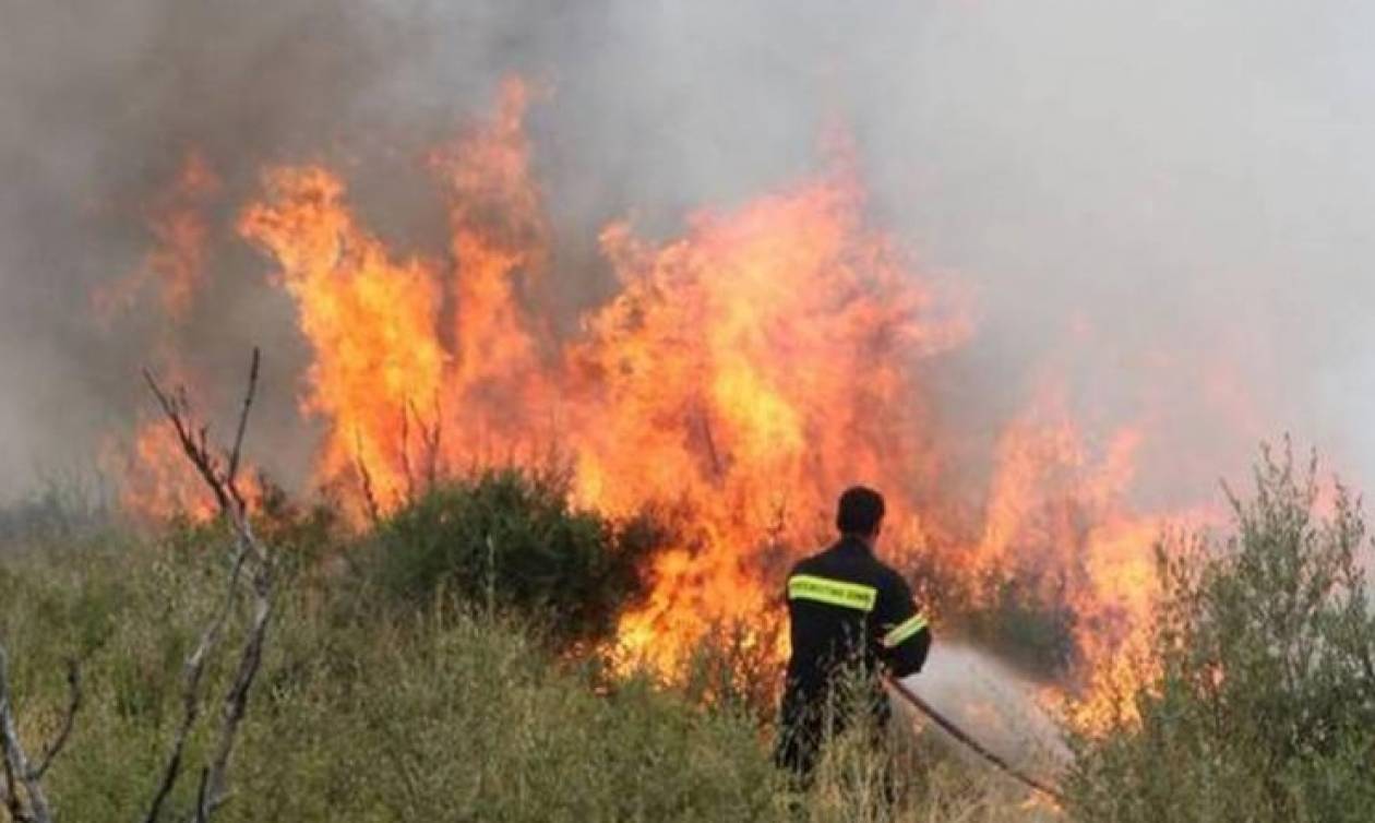 Συναγερμός στην Πυροσβεστική: Πυρκαγιά στην Κίσαμο καίει ελιές και δασική έκταση