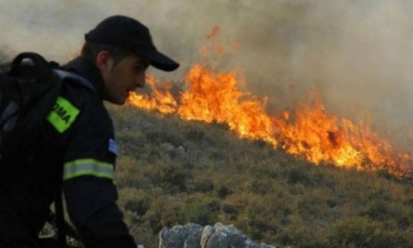 Καταστροφικό το πέρασμα της φωτιάς στην Κίσαμο - Στάχτη 200 στρέμματα γεωργικής έκτασης
