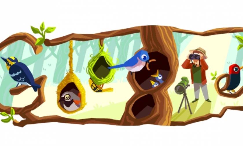 Phoebe Snetsinger: Η Google τιμά με Doodle τη διάσημη παρατηρητή πουλιών