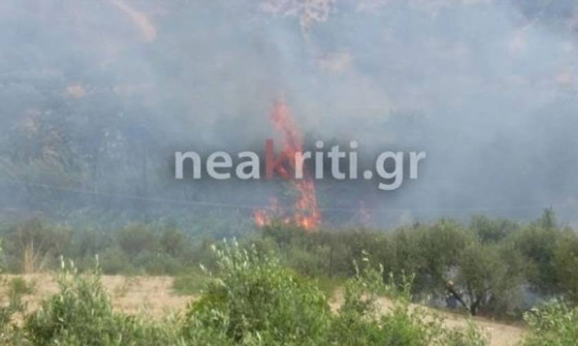 Πυρκαγιά σε εξέλιξη στην Κνωσό - Απειλούνται σπίτια (pics&vid)