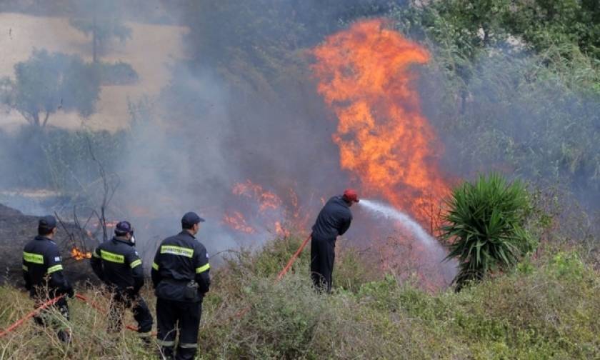 Υπό έλεγχο η φωτιά στην Κνωσό - Δεκάδες στρέμματα έγιναν στάχτη