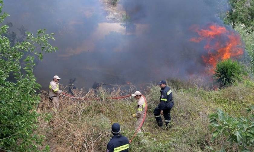 Συναγερμός στην Πυροσβεστική: Φωτιές σε Ηράκλειο και Ρέθυμνο