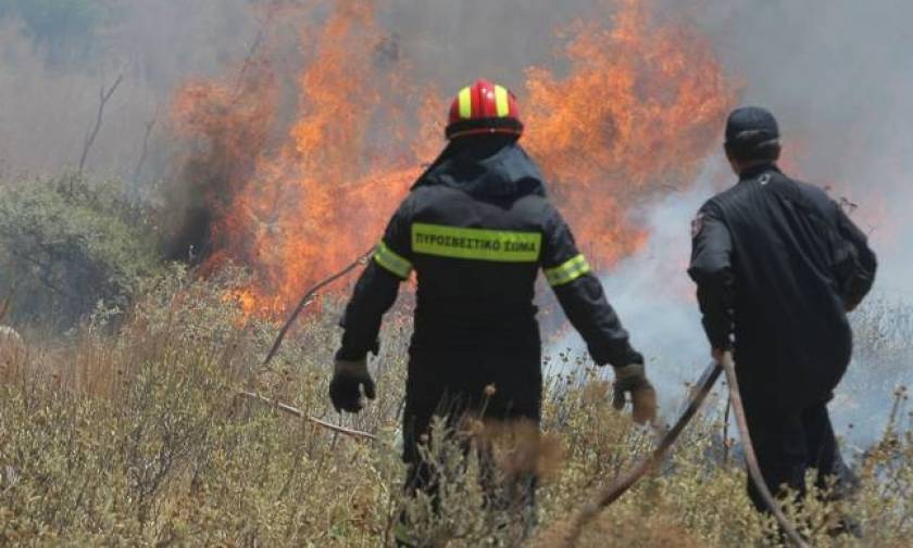 Ρέθυμνο: Πάνω από 1000 στρέμματα έγιναν στάχτη από την πυρκαγιά που μαίνεται