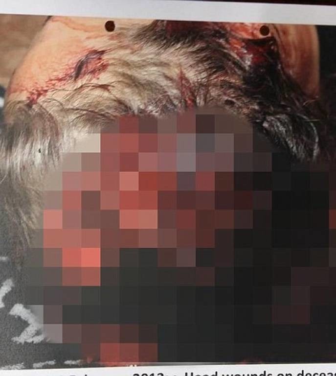Όσκαρ Πιστόριους: Σοκάρουν οι φωτογραφίες της δολοφονημένης Ρίβα Στέενκαμπ