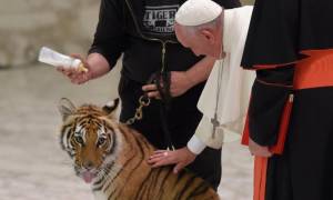 Βατικανό: Όταν ο Πάπας τρόμαξε μια τίγρη! (vid)