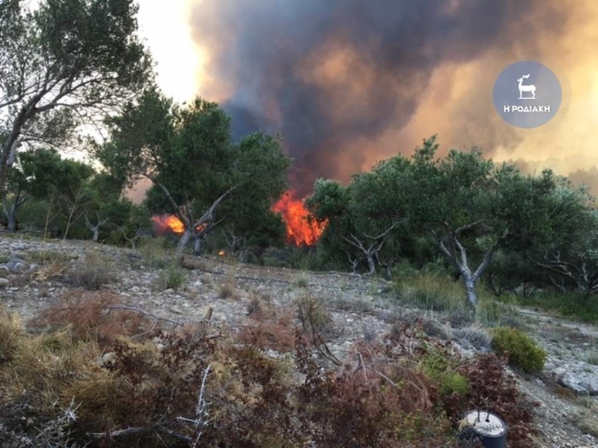 Ανεξέλεγκτη φωτιά μαίνεται στη Ρόδο (photos - video)