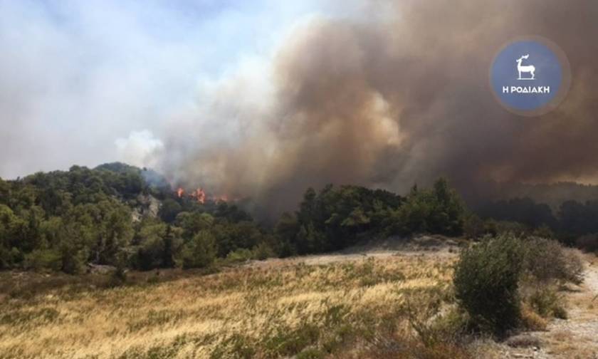 Στάχτη χιλιάδες στρέμματα από την πυρκαγιά στη Ρόδο (video+photos)
