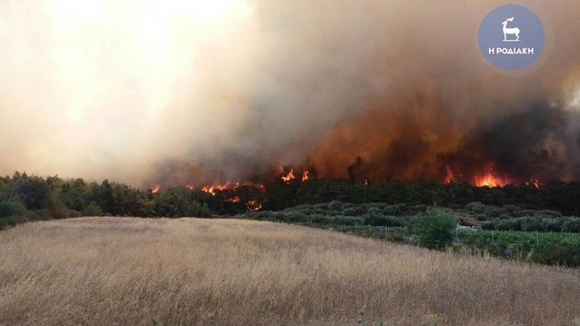 Στάχτη χιλιάδες στρέμματα από την πυργαγιά στη Ρόδο (video+photos)