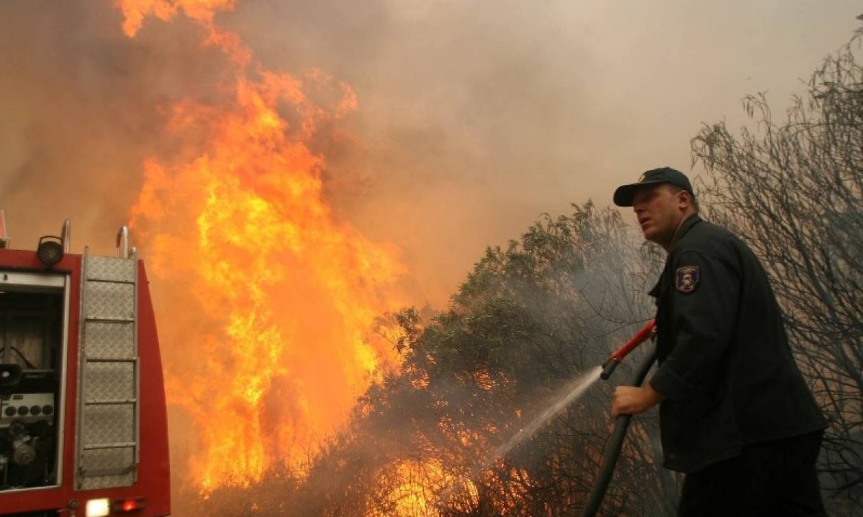 Τώρα: Μεγάλη φωτιά μαίνεται στους Θρακομακεδόνες