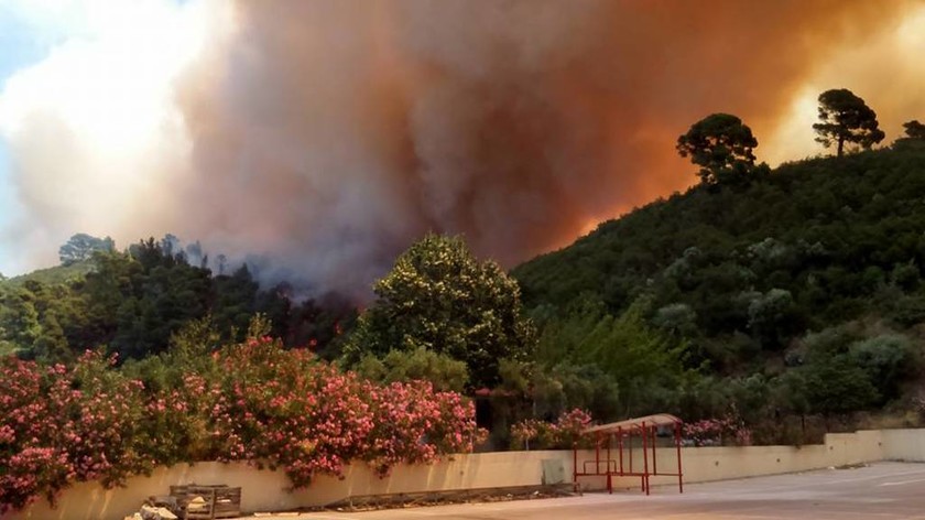 Πυρκαγιά Χαλκιδική: Ανεξέλεγκτη φωτιά απειλεί σπίτια στο Νέο Μαρμαρά