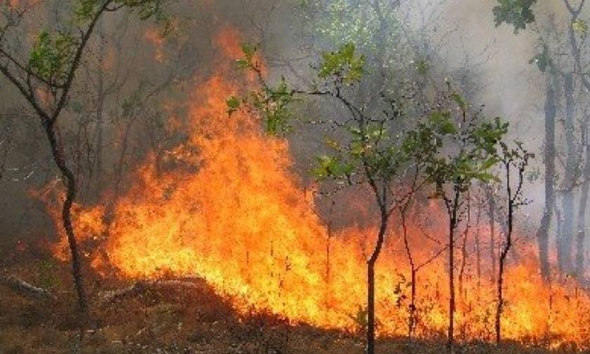 Φωτιά Τώρα: Προς Πάρνηθα κινείται η πύρινη λαίλαπα που κατακαίει τα Δερβενοχώρια