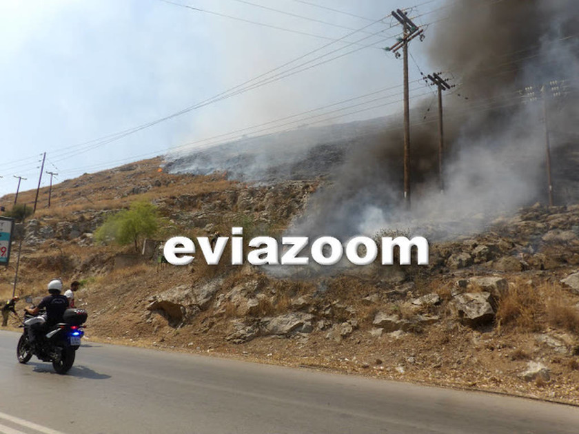 Συναγερμός στη Χαλκίδα: Μεγάλη φωτιά στον Άγιο Στέφανο - Απειλείται κατοικημένη περιοχή (vid&pics)