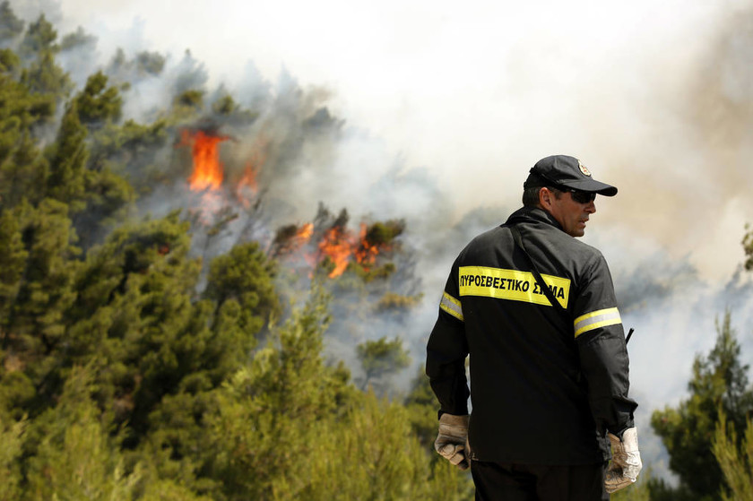 Πύρινη λαίλαπα στα Δερβενοχώρια: Προσπάθειες να περιοριστούν τα μέτωπα της φωτιάς