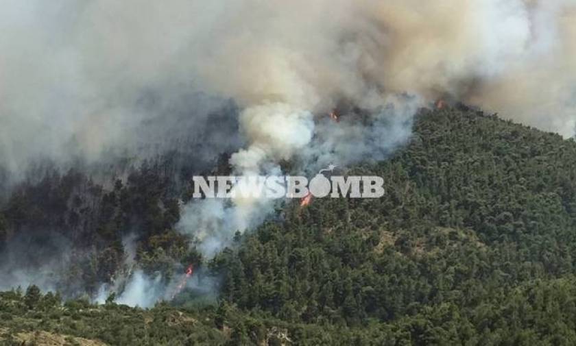 Wildfire in Dervenohoria in progress; no inhabited areas in danger