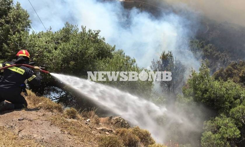 Φωτιά Δερβενοχώρια: Οι φλόγες περικύκλωσαν την κοινότητα Στεφάνη - Κατευθύνονται προς το Πράσινο
