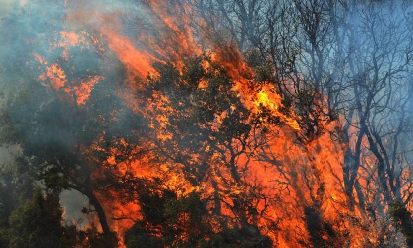 Μάννα εξ ουρανού η σφοδρή καταιγίδα για τη μεγάλη φωτιά στα Δερβενοχώρια