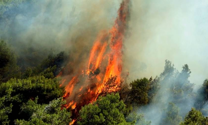 Συναγερμός στην Πυροσβεστική για φωτιά στη Λάρυμνα