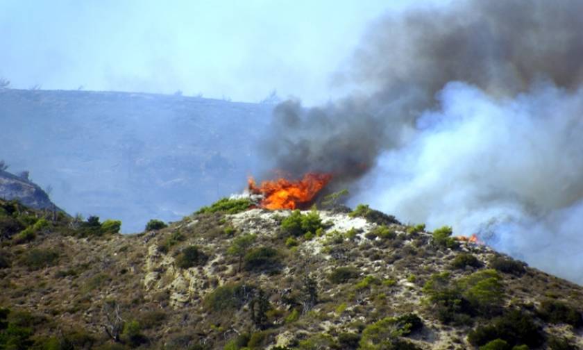 Wildfire in the area of Messara on Crete