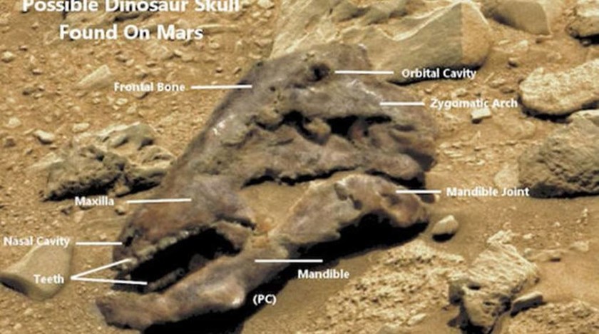 Απίστευτο: Η NASA εντόπισε… δεινόσαυρο στον πλανήτη Άρη; (video+photo)