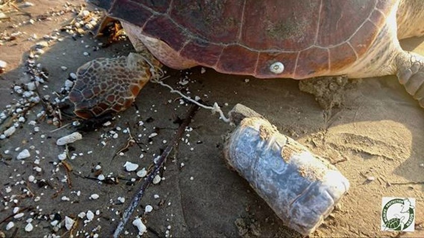 Φρίκη: Έδεσαν μπουκάλι με τσιμέντο σε καρέτα - καρέτα για έναν αργό, βασανιστικό θάνατο