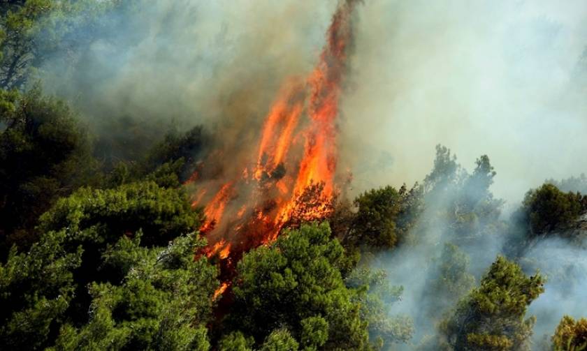 Φωτιά Σάμος: Στις φλόγες το νησί - Καίγονται χιλιάδες στρέμματα πευκοδάσους (photos)