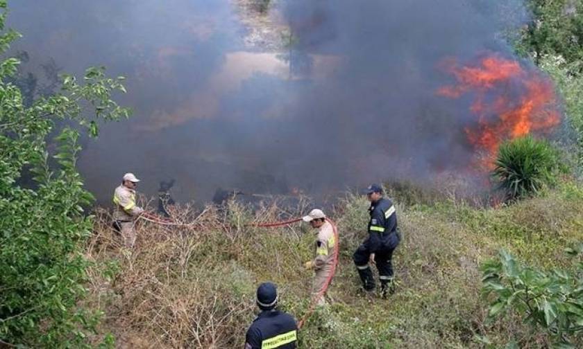 Υπό έλεγχο δύο πυρκαγιές σε Κορινθία και Μέθανα