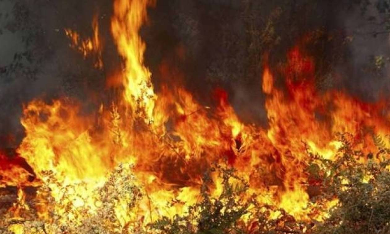 Λάρισα: Μαίνεται σε δύο μέτωπα η φωτιά στους Γόννους – Γιγαντιαία πυροσβεστική επιχείρηση