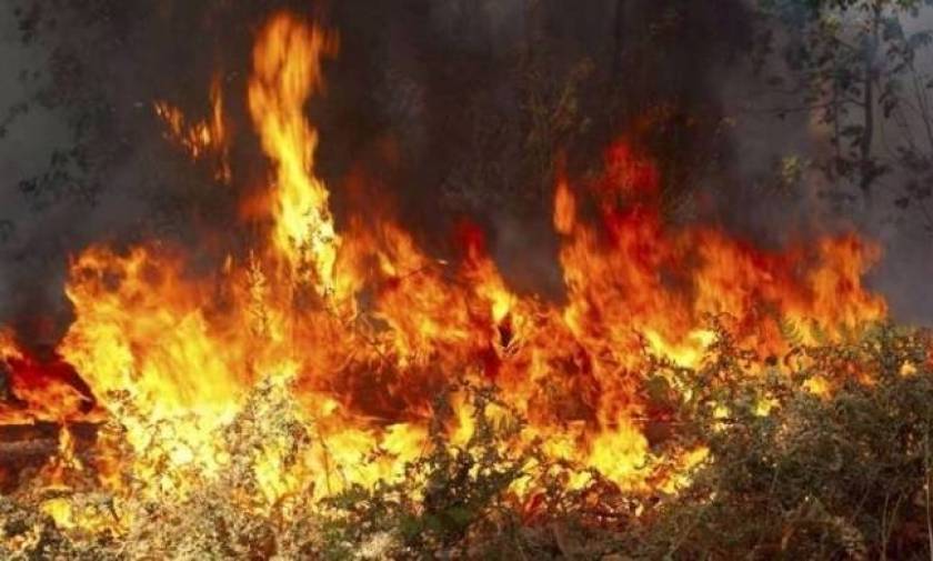 Νέο μέτωπο φωτιάς στην Αιγάνη -  Μαίνεται η πυρκαγιά στους Παλαιούς Πόρους