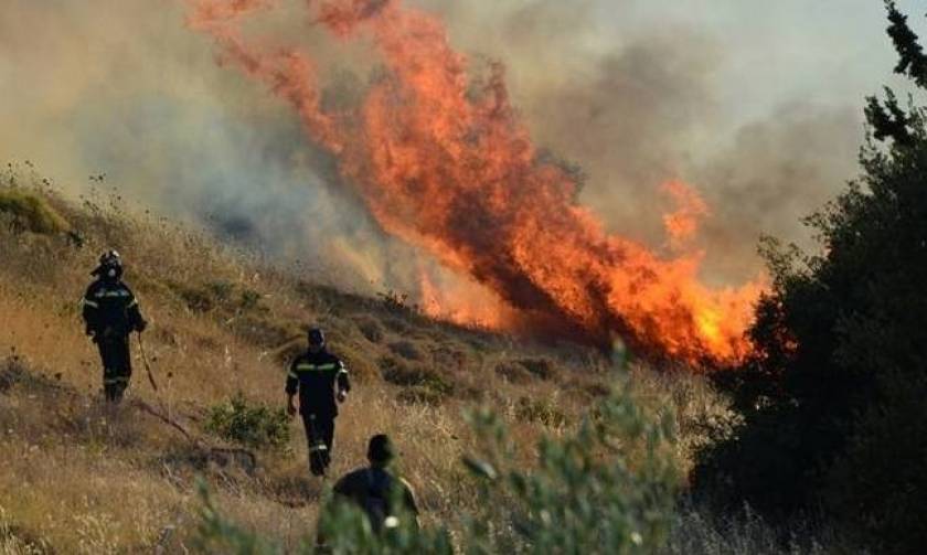 Μεγάλη πυρκαγιά στα Ιωάννινα, κοντά στο χωριό Νεοχώρι