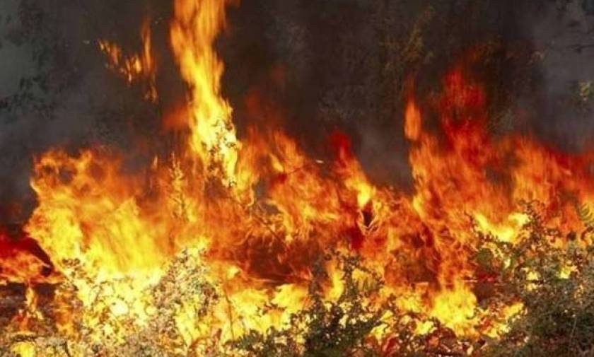 Χαλκιδική: Πυρκαγιά στο χωριό Σανά