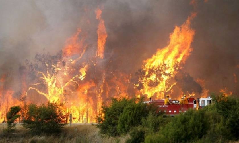 Ηράκλειο:Φωτιά στη Γεργέρη