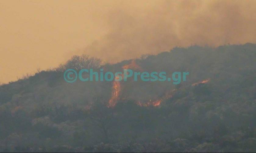 Μεγάλη φωτιά στη Χίο - Εκκενώθηκαν χωριά (photos - videos)