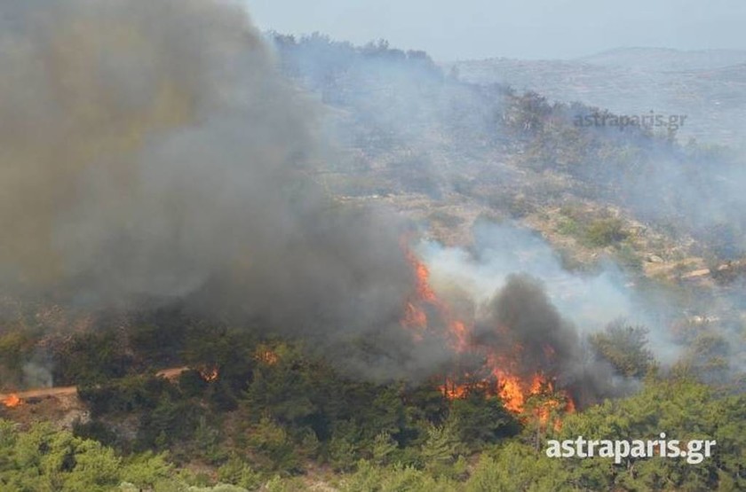 Μεγάλη φωτιά στη Χίο - Εκκενώθηκαν χωριά (photos - video)