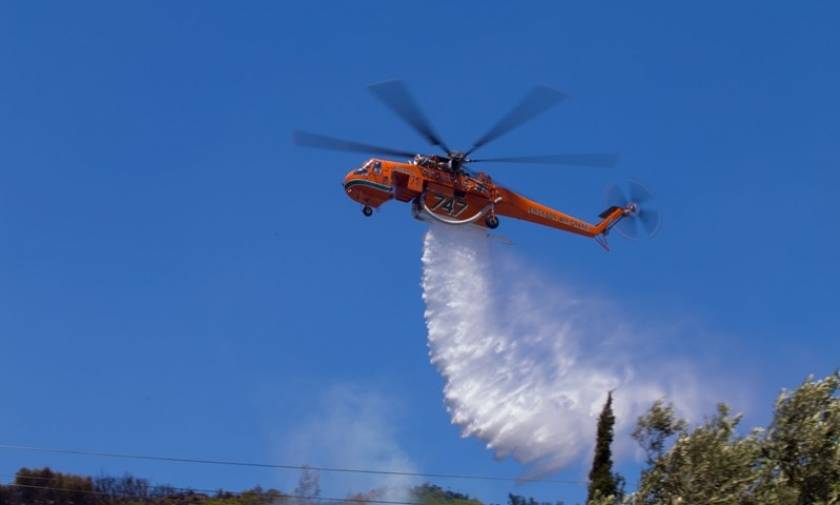 Φωτιά Χίος: Η πυρκαγιά αφάνισε καλλιέργειες μαστιχόδεντρων