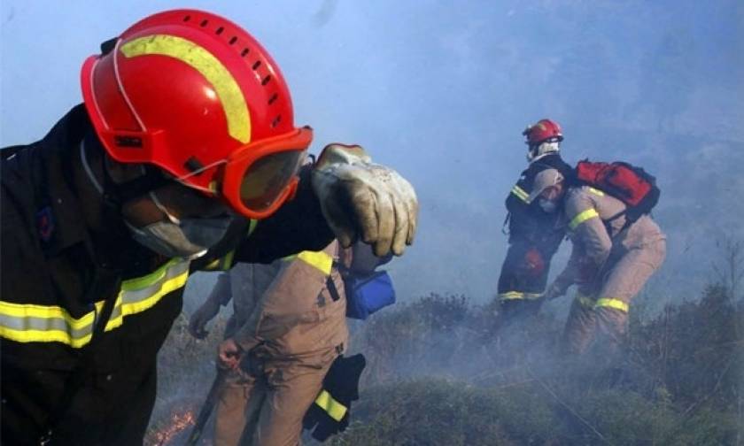 Ελευσίνα: Σύλληψη 35χρονου για την πυρκαγιά στην περιοχή Ευταξία