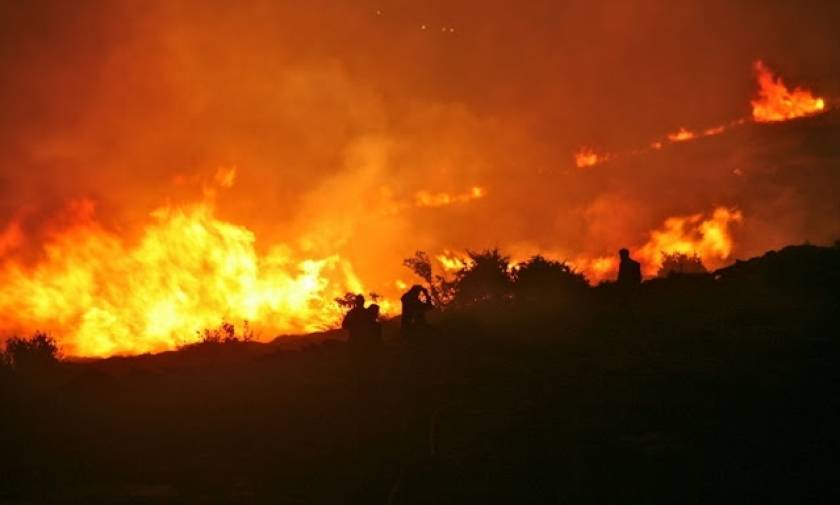 Πάτρα: Συναγερμός για μεγάλη φωτιά στην περιοχή Βούντενη