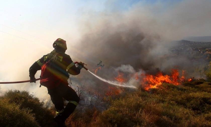 Φωτιά στη Λακωνία - Υπό μερικό έλεγχο η πυρκαγιά στη Χαλκιδική