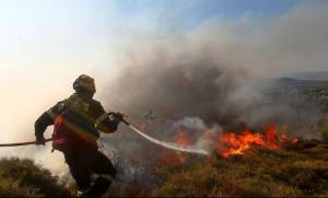 Θεσσαλονίκη: Πυρκαγιά σε δασική έκταση στη Νέα Ραιδεστό