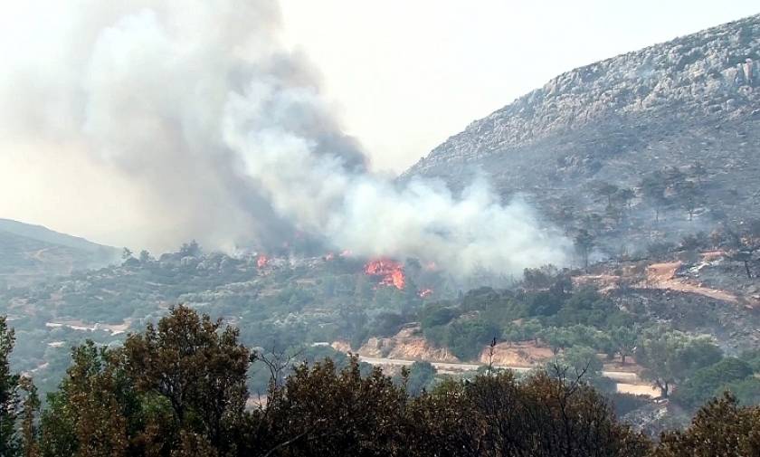 Φθιώτιδα: Υπό μερικό έλεγχο η πυρκαγιά στη Λάρυμνα