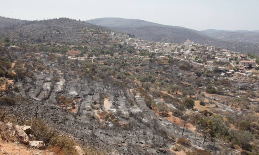 Φωτιά Χίος: Γρήγορα οι αποζημιώσεις στους μαστιχοπαραγωγούς