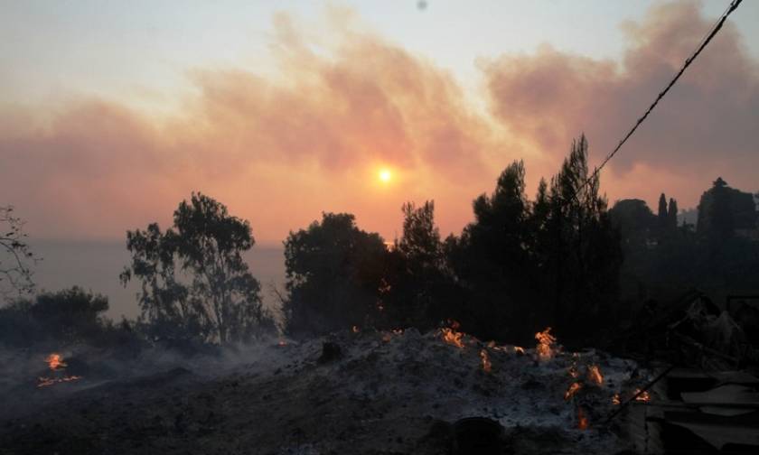 Φωτιά Εύβοια: Ανησυχία για το ανατολικό μέτωπο που κατευθύνεται σε οικισμό - Υπό έλεγχο το δυτικό