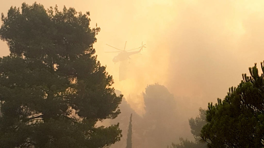 Φωτιά Εύβοια: «Στάχτη» 50.000 στρέμματα δάσους – Βιβλική καταστροφή (pics)