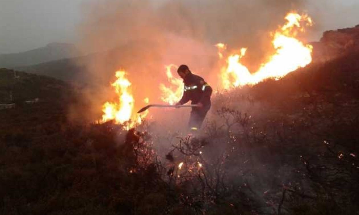 Φωτιά Εύβοια: Τεράστια οικολογική καταστροφή – Κρανίου τόπος μετά την πυρκαγιά