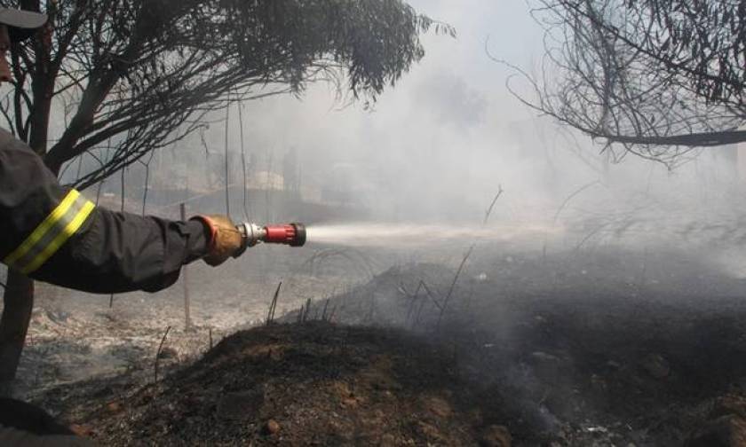 Φωτιά Εύβοια: Η πυρκαγιά οριοθετήθηκε και είναι υπό έλεγχο