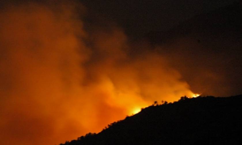 Συναγερμός στην Πυροσβεστική για φωτιά στα σύνορα με τα Σκόπια