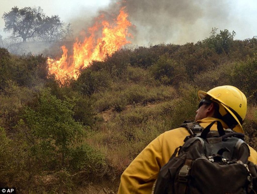 Ισπανία: Φονική πυρκαγιά από άνδρα που... έκανε την ανάγκη του! (pics)