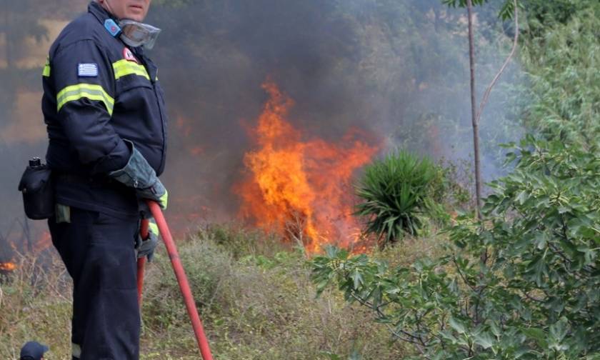 Φωτιά στην Αργολίδα: Εξακολουθεί να καίει το πύρινο μέτωπο στο Κρανίδι