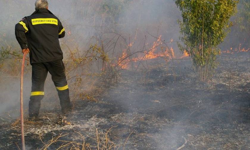 Fire in Argolida under control