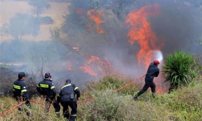 Συναγερμός στην Πυροσβεστική για πυρκαγιά στο Κόκκινο Βοιωτίας