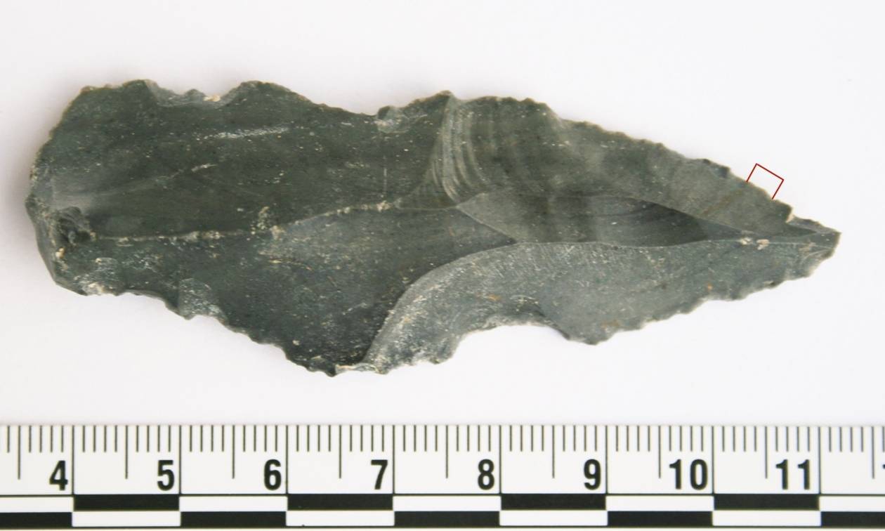 Ανακαλύφθηκαν τα αρχαιότερα στον κόσμο ζωικά ίχνη πάνω σε λίθινα εργαλεία ηλικίας 250.000 ετών